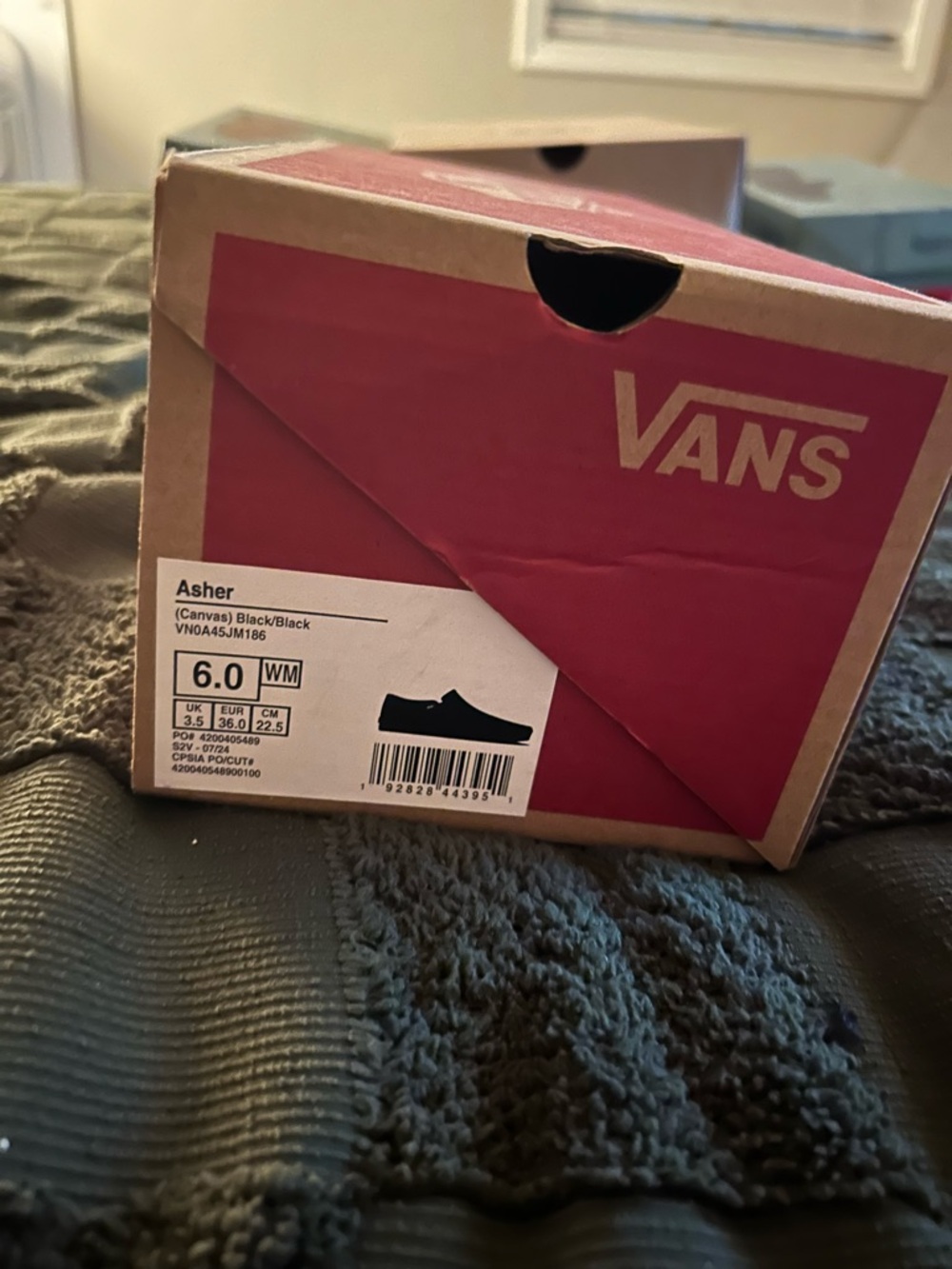 Vans Asher Canvas Shoes - Black